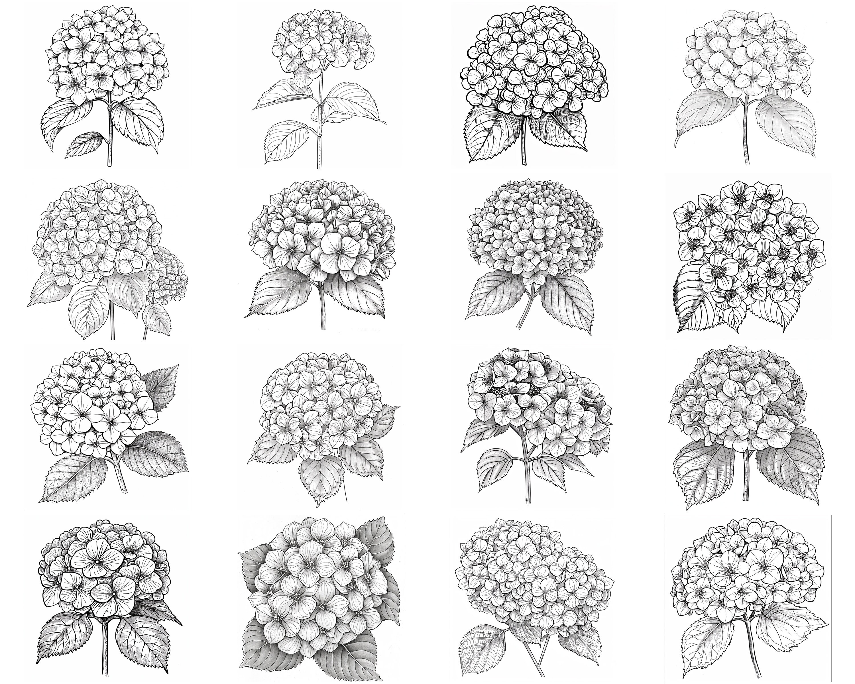 150+ Hydrangea Procreate Brush Set | Stamps for Procreate | Instant ...