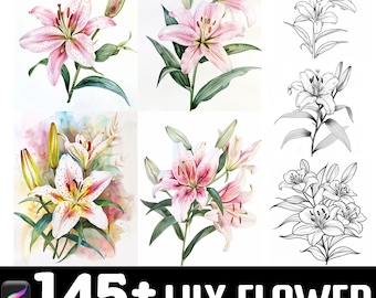 145 Lily Procreate Brush Set | Carimbos para Procreate | Download digital instantâneo