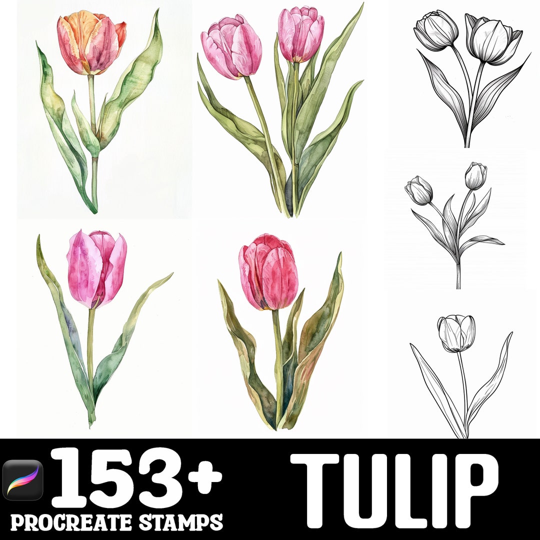 153+ Tulip Flower Procreate Brush Set | Stamps for Procreate | Instant ...