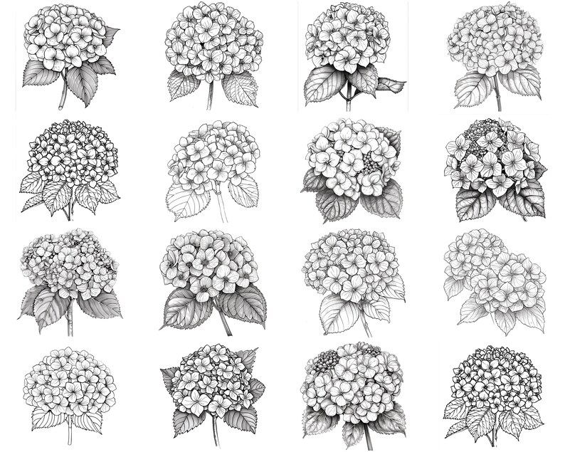 150+ Hydrangea Procreate Brush Set | Stamps for Procreate | Instant ...