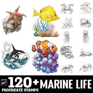 100+ Marine Life Procreate Brush Set | Procreate Stamp Brushes | Instant Digital Download