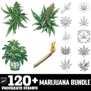 May include: A set of 120+ Procreate stamps featuring marijuana leaves, plants, and other related imagery. The stamps are in various styles, including realistic, cartoon, and line art. The set includes a variety of colors and designs, making it perfect for creating unique and creative projects.