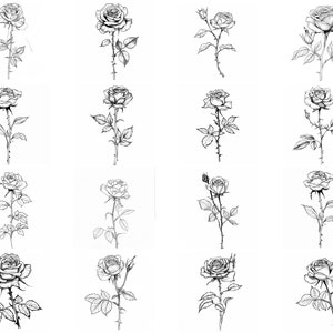 145+ Rose Flower Procreate Brush Set | Stamps for Procreate | Instant ...