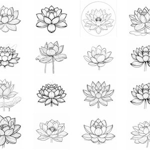 150+ Lotus Procreate Brush Set | Stamps for Procreate | Instant Digital ...