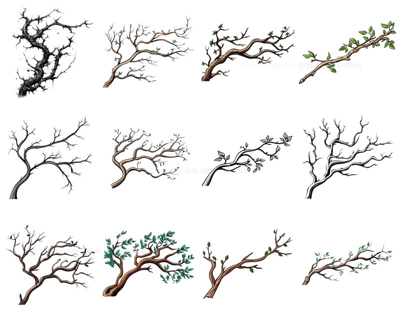 100+ Branches Procreate Brush Set | Unique Tree Branch Stamp Brushes ...