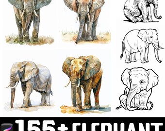 151+ Elephant Procreate Brush Set | Stamps For Procreate | Instant Digital Download