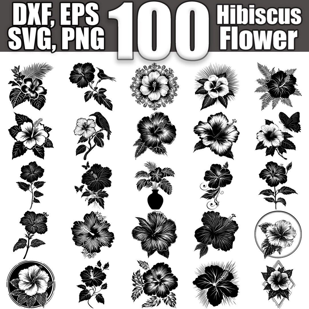 Hibiscus Flower SVG Bundle, Set of 100, Instant Digital Download Svg ...