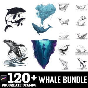 100+ Whale Procreate Brush Set | Procreate Stamp Brushes | Instant Digital Download