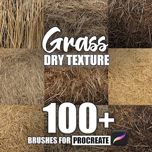 Könnte beinhalten: Eine Collage aus sechs verschiedenen Texturen von trockenem Gras, mit dem Text "Grass Dry Texture 100+ Brushes for Procreate" unten.