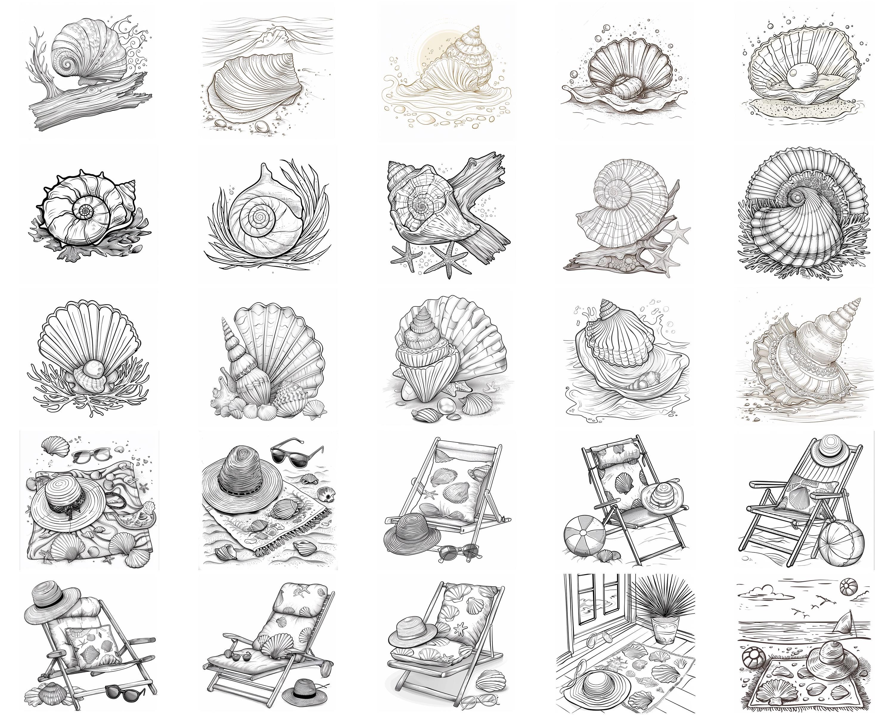 128+ Seashell Procreate Brush Set | Stamps for Procreate | Instant ...