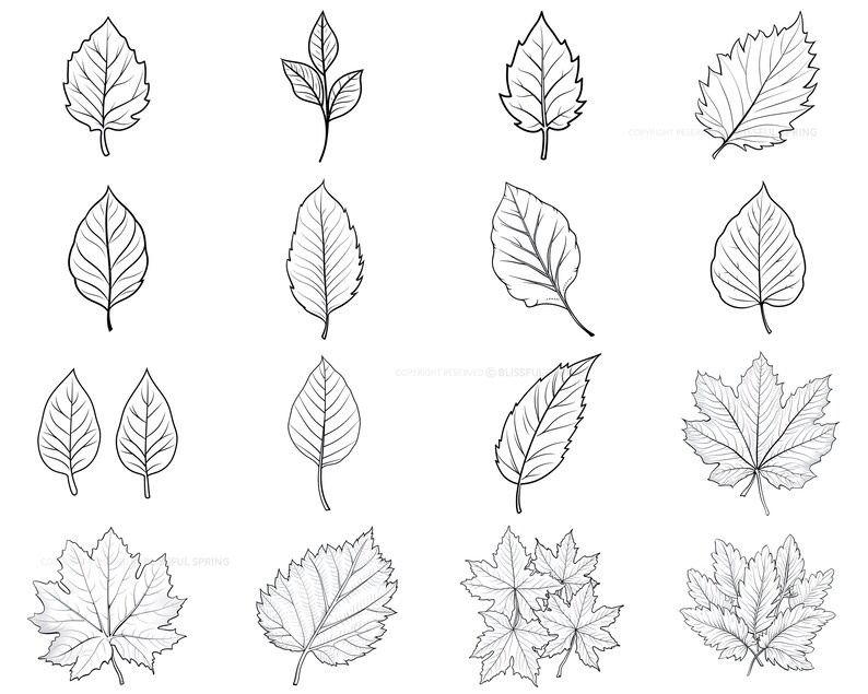 100+ Leaf Procreate Brush Set | Unique Leaf Stamp Brushes | Instant ...
