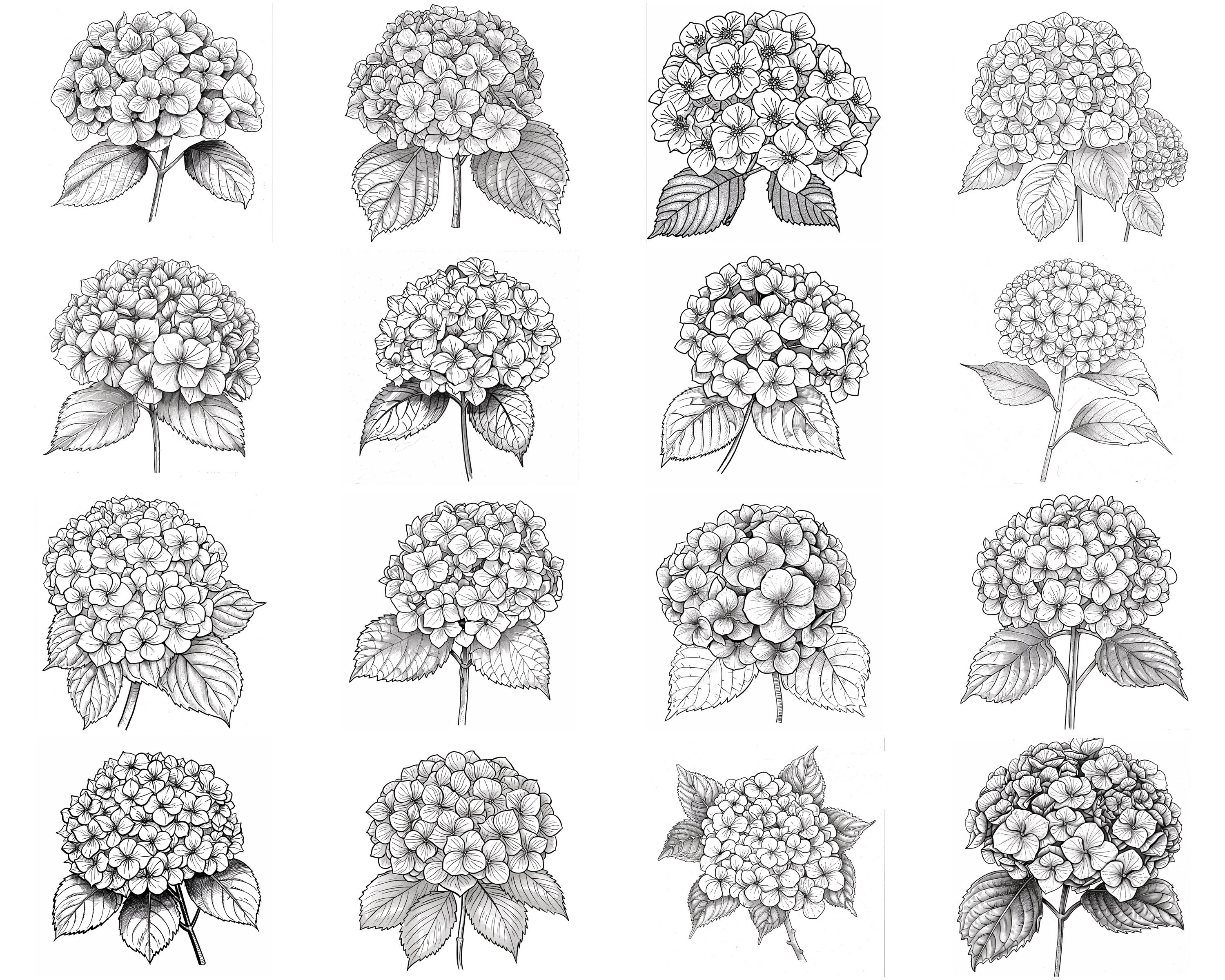 150+ Hydrangea Procreate Brush Set | Stamps for Procreate | Instant ...