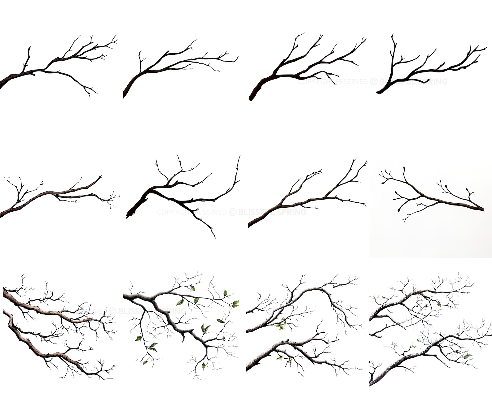 100+ Branches Procreate Brush Set | Unique Tree Branch Stamp Brushes ...