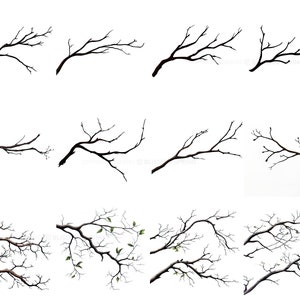 100+ Branches Procreate Brush Set | Unique Tree Branch Stamp Brushes ...