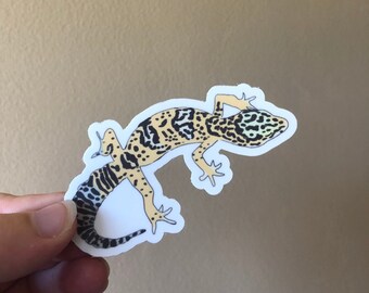 Sticker léopard gecko