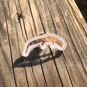 Pin de acrílico Leopard Gecko
