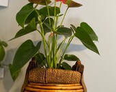 Vintage Wooden Indoor Plant Pot - Wicker Plant Pot - Boho Decor