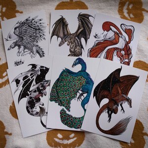 DRAGON PRINT BUNDLES