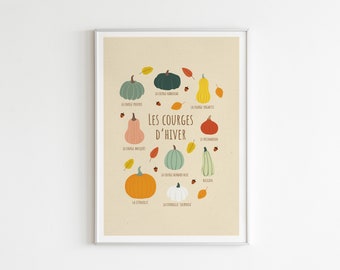 Squash print, Autumn decoration, Pumpkin Wall Art, Kitchen Wall ART, Squash poster, Food illustration, Vegetable varieties