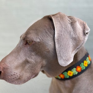 Large Dog Collar | Handsewn beads | Huichol art | Mexican style | Leather collar | Fairtrade | Handmade