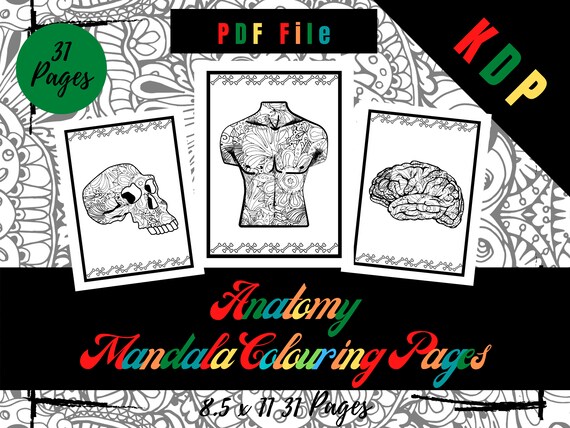Download Anatomy Mandala Coloring Pages Sheets Pdf Cool Anatomy Etsy