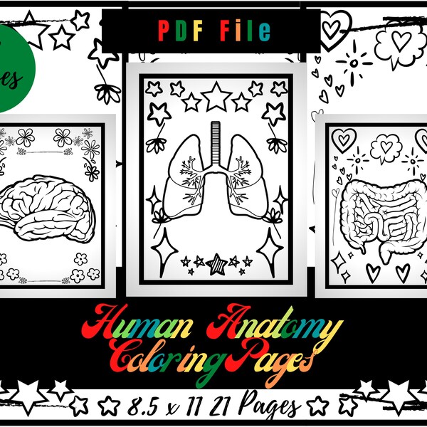 Human Anatomy Coloring Pages Printable - Etsy