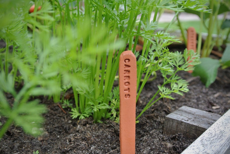 Pflanzenmarker Gemüsemarker Kräutermarker Gartenmarkierungen Schamotte-Ton Terrakotta Bild 8