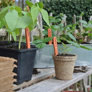 Pflanzenmarker Gemüsemarker Kräutermarker Gartenmarkierungen Schamotte-Ton Terrakotta Bild 10