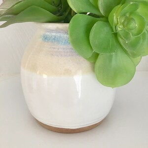 Puede incluir: Un jarrón de cerámica blanco con una franja azul claro y una base marrón, que contiene una planta suculenta verde y una planta verde de hoja.