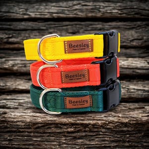 Cushion Webbing Adjustable Dog Collar, Heavy Duty Quick Release Buckle, Strong, Durable,  5 Sizes, Matching Lead can be purchased separately