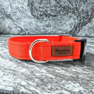 Orange Cushion Webbing Adjustable Dog Collar, Heavy Duty Quick Release Buckle, Matching Lead can be purchased separately