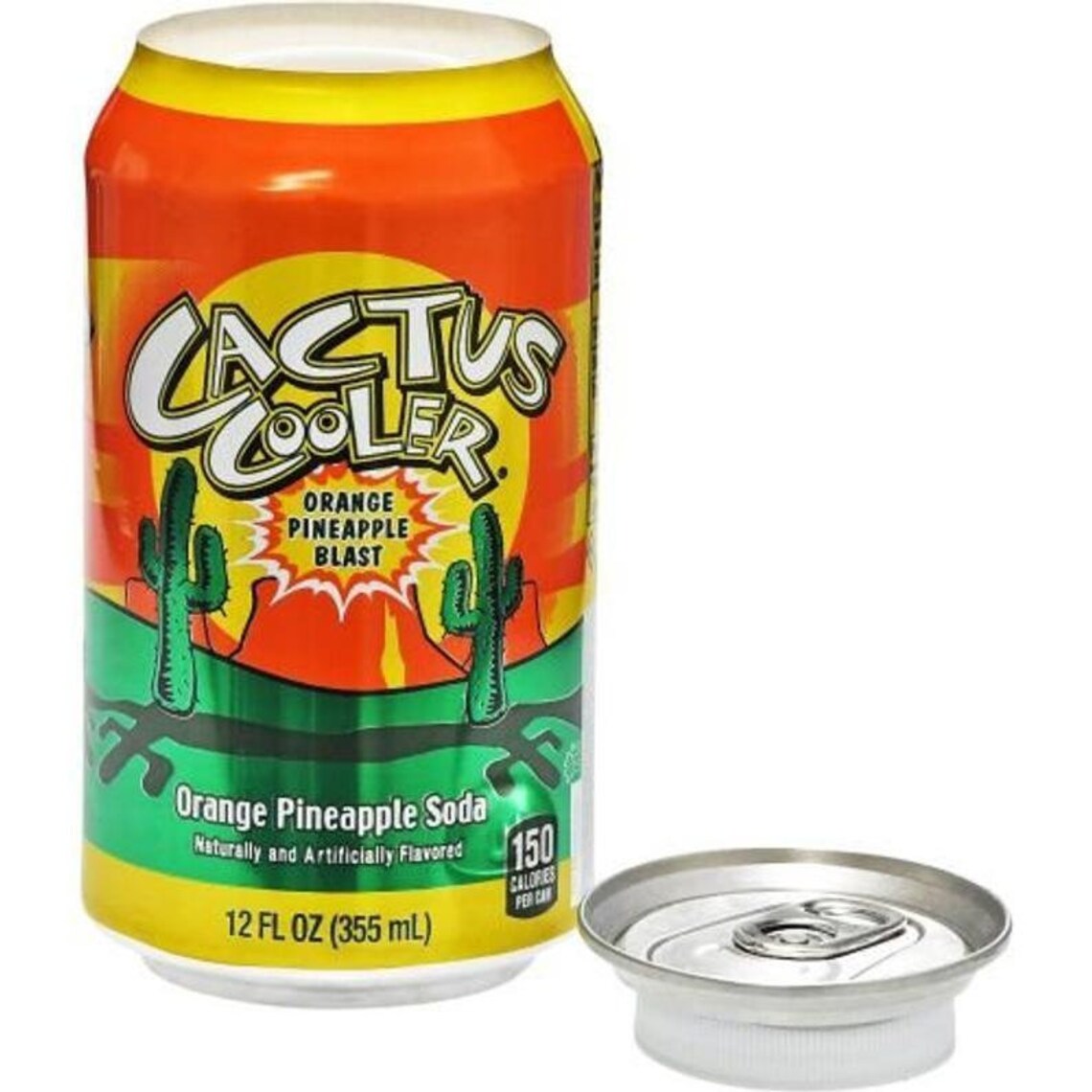 Cactus Cooler Stash Can Safes Soda Etsy
