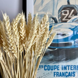 Natural Dried Wheat Bunch (60 Stems Approx)