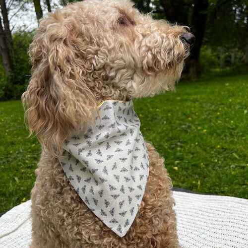 Dog Bandana // All Boricuas Bandana // Satos // Newyorican Etsy