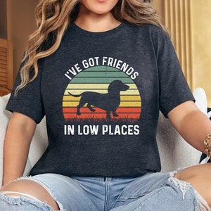 I&#39;ve Got Friends In Low Places T-shirt, Retro Dog Lover T-shirt, Funny Dachshund T-shirt, Colorful Dachshund Shirt, Friends Gift