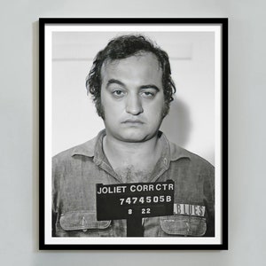 Mugshot Poster, Black and White, Celebrity Mugshot, Vintage Photo, Mugshot Print, Civil Rights Poster, Mugshot Canvas, Mugshots, Wall Art