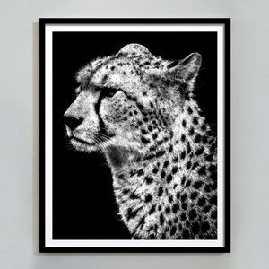 Leopard Wall Art, Black and White, Cheetah Print, Vintage Animal Photo, Panther Wall Art, Jungle Art Print, Digital Download, Picture, Decor