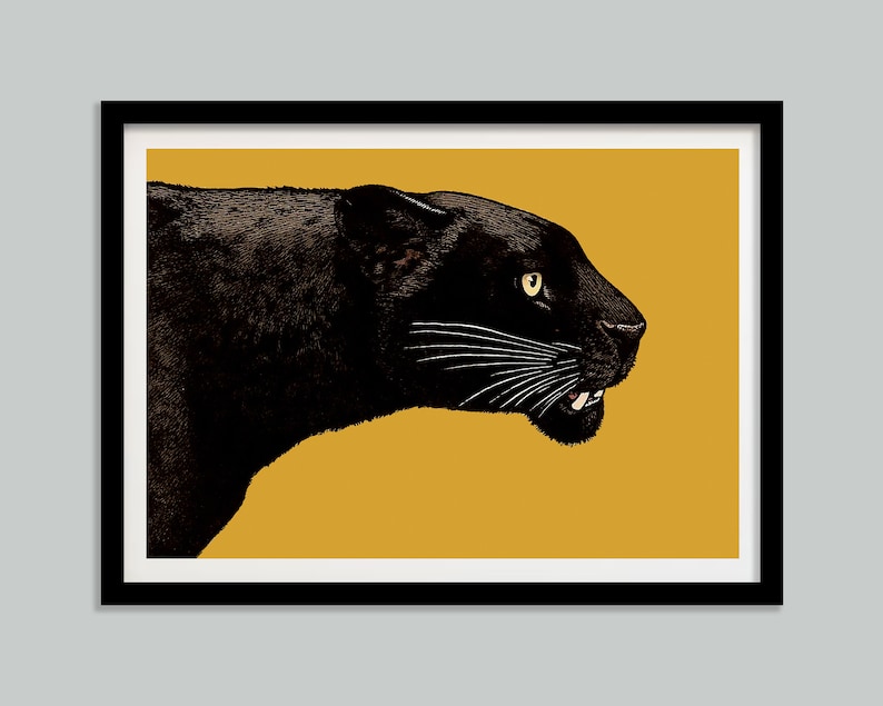 K&ouml;nnte beinhalten: Ein schwarzer Panther mit einem gelben Auge starrt intensiv nach rechts vor einem einfarbigen gelben Hintergrund.