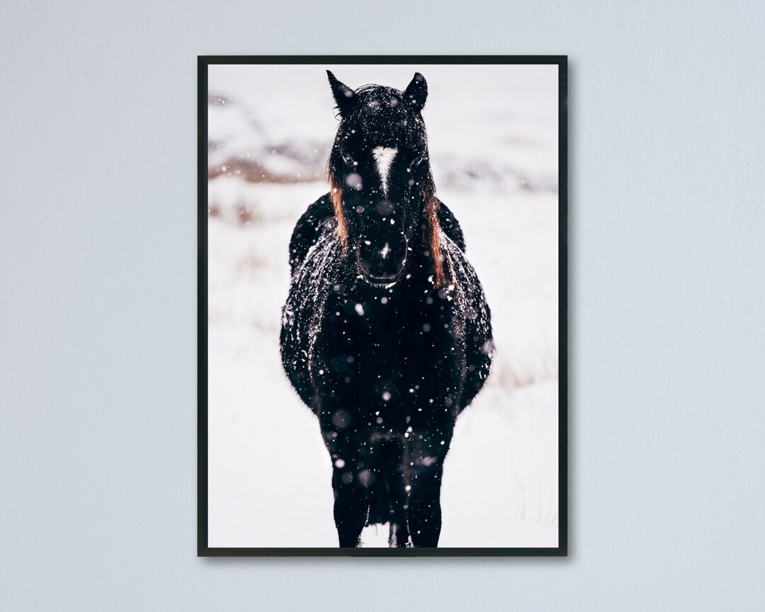 Horse Photography Print, Digital Download, Horse Wall Art, Horse in