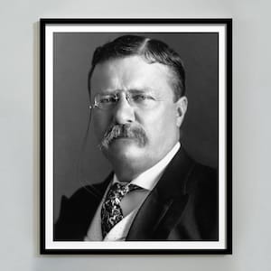 President Theodore Roosevelt Poster, Vintage Wall Art Print, Political Poster Diversity Poster, Historical Poster, Wall Art, Classroom Decor