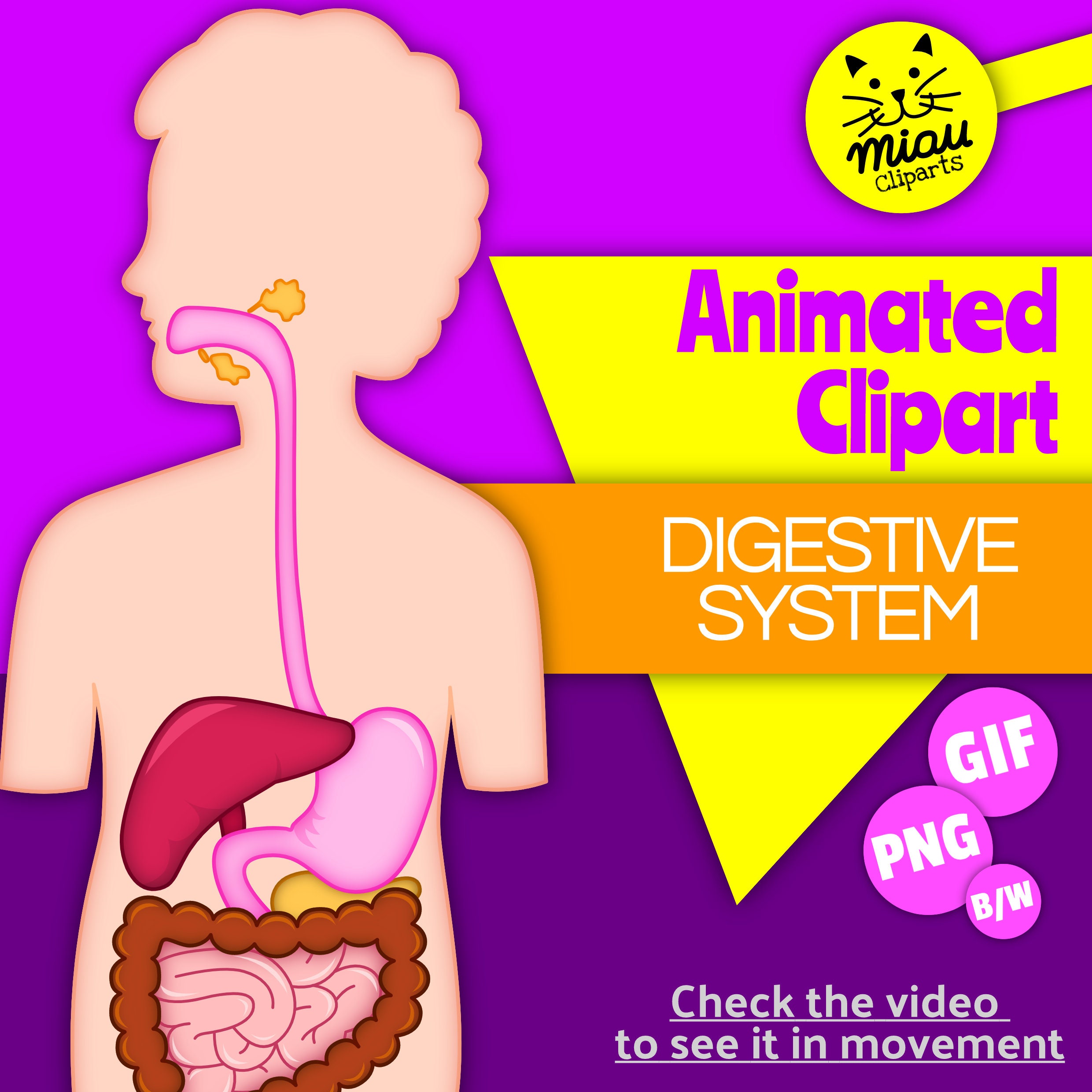 Digestive System Clip Art Printable Png and Animated Gif - Etsy Digestive System Clip Art Printable Png and Animated Gif - Etsy