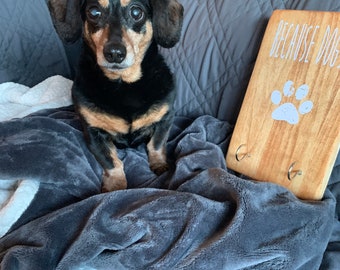 May include: A black and tan dachshund dog sitting on a gray blanket with a wooden sign that says "Because Dog" with a white paw print.