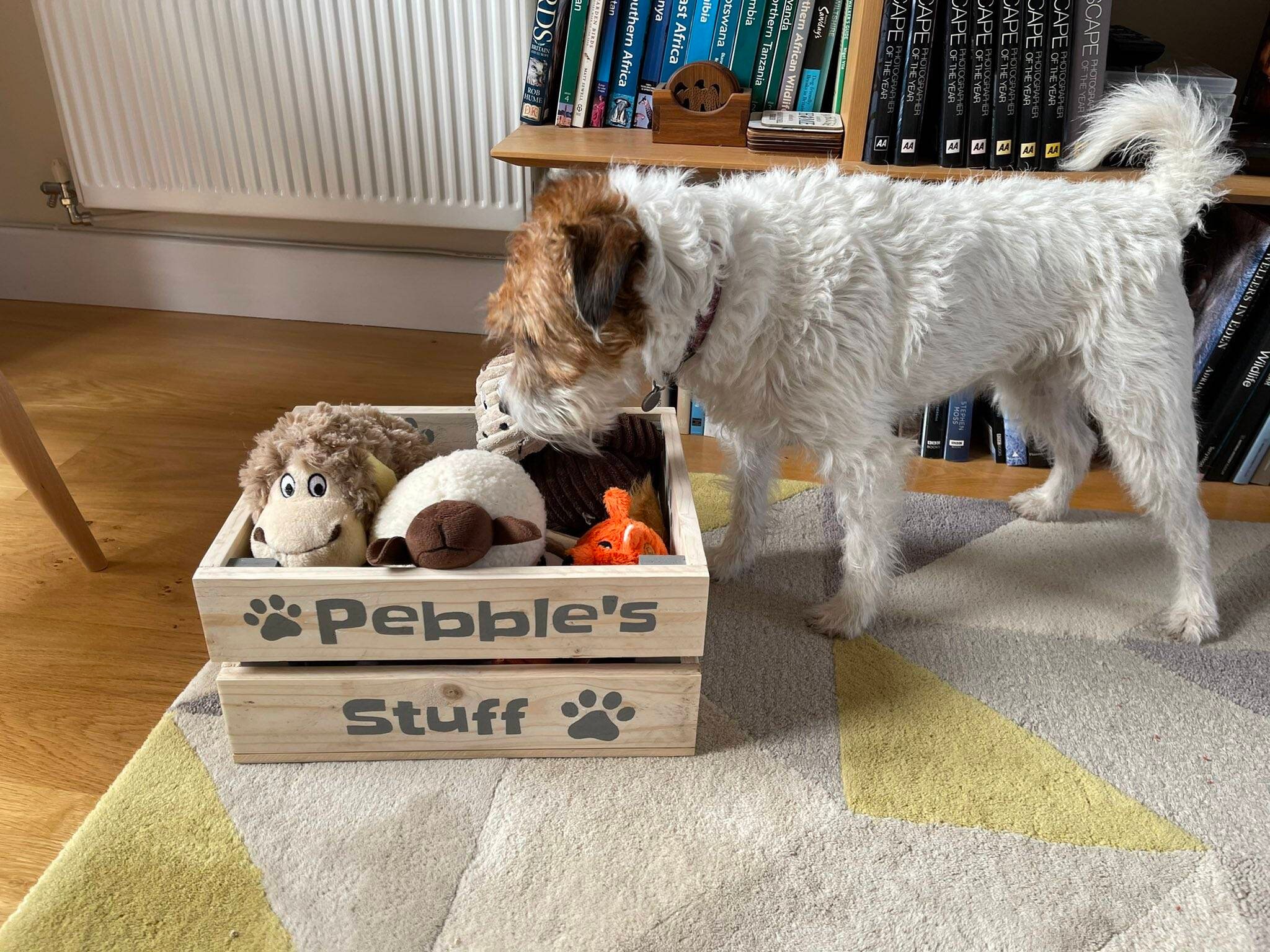 Dog Toy Box 35 X 28 Cm / Personalised Dog Toy Box / Dog Toy Etsy UK