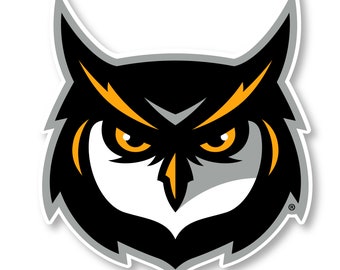 Kennesaw State Owls Etsy