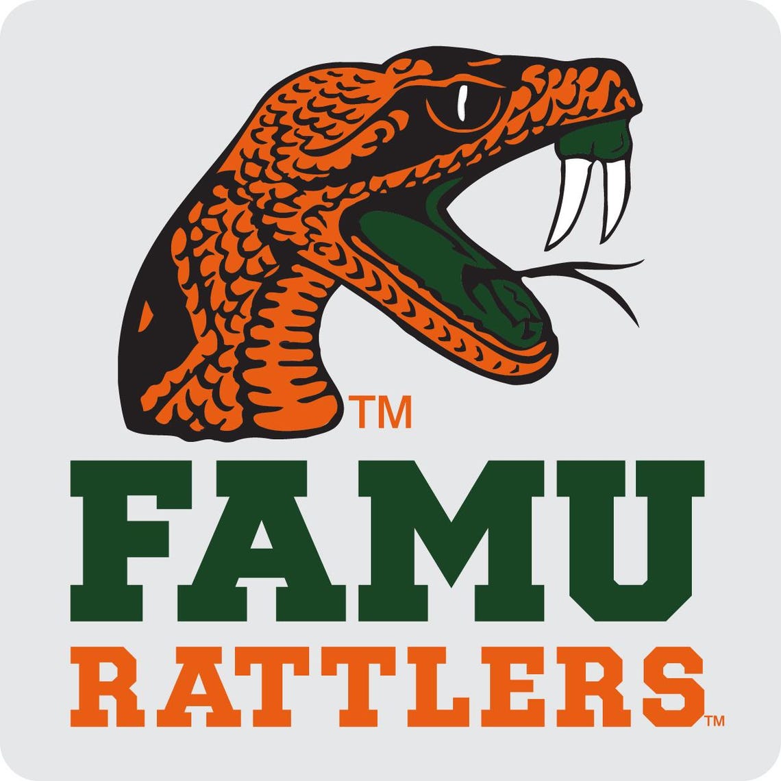 Monogram Rattler Florida A&M Rattlers 4 Coasters Set – Variety of Materials Available - Etsy