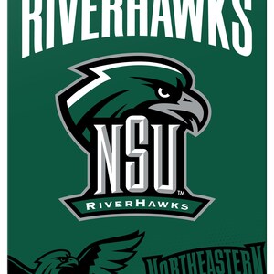 May include: A rectangular green metal sign featuring the white text NORTHEASTERN STATE UNIVERSITY and RIVERHAWKS. The center displays a green and white hawk head logo above the letters NSU. A smaller hawk graphic and text appear at the bottom.