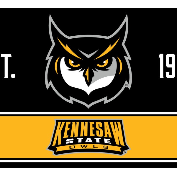 R and R Imports Kennesaw State University Wood Sign with Frame