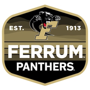 May include: A shield-shaped logo with a black panther above the word "FERRUM PANTHERS". The logo includes the text "EST. 1913" and is in shades of black, gold, and white. The panther has a red mouth.