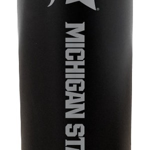 Michigan State Spartans 20 oz Insulated Stainless Steel Skinny Tumbler