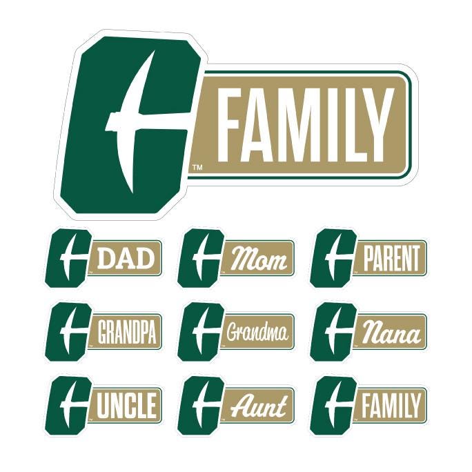 FANMATS 22526 Team Color Briciola Gomma Indiana
